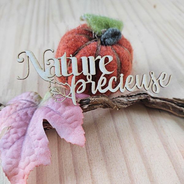 Mot Nature précieuse avec feuillage en carton bois SCRAPMOUSET
