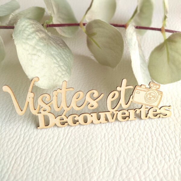 Mot Visites et découvertes en carton bois SCRAPMOUSET