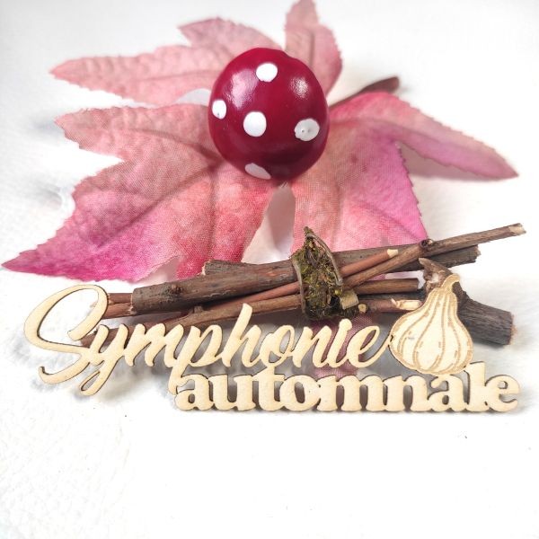 Mot Symphonie automnale avec citrouille en carton bois SCRAPMOUSET