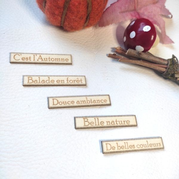 Lot 5 étiquettes gravées carterie thème automne SCRAPMOUSET